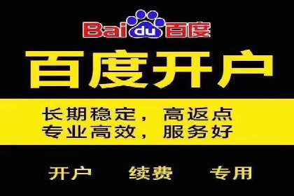 探索百度推广代理在电商行业的成功应用